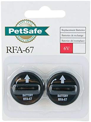 Pet Safe 6 Volt Lithium Battery 6 V Lithium Ion Blister Pack Pack / 2