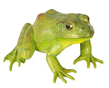 Safari Ltd  Incredible Creatures American Bullfrog
