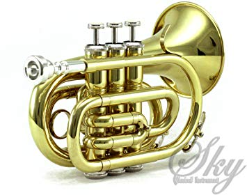 Sky Band Approved Gold Plated Brass Bb Pocket Trumpet with Case, Cloth, Gloves and Valve Oil, Guarantee Top Quality Sound, Gold