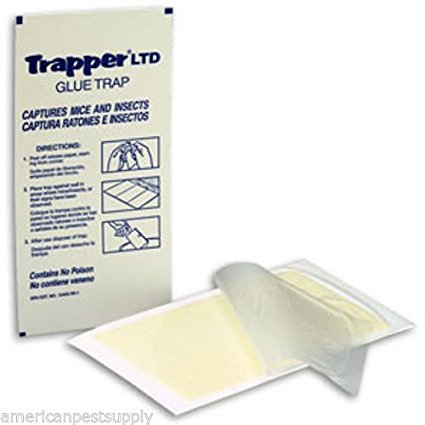 72 Trapper Ltd Mouse Glue Boards Mouse Traps Trapper Ltd Mouse Boards"