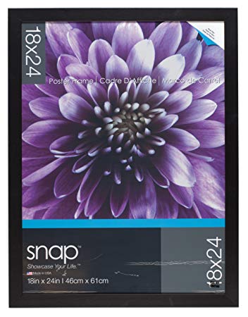 Snap 18x24 Black Wood Wall Photo Frame