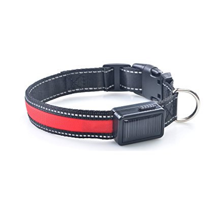 Pevor LED Dog Collar USB Solar Rechargeable Nylon Reflective with Water Resistant Flashing Light 7 Colors Night Safety Collars Cable Included
