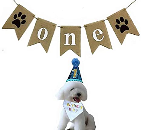 Alemon Dog 1st Birthday Party -ONE Banner Garland Frist Pet Birthday Hat -Dog Hat