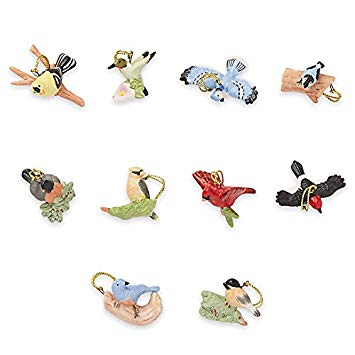 Lenox Garden Bird 10 Piece Ornament Set (Tree not Included)