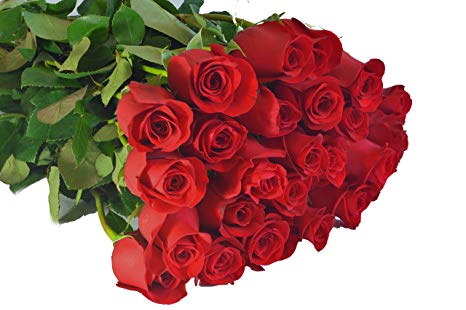 Blooms2Door 50 Red Roses (Long Stem - 50cm) - Farm Direct Wholesale Fresh Flowers