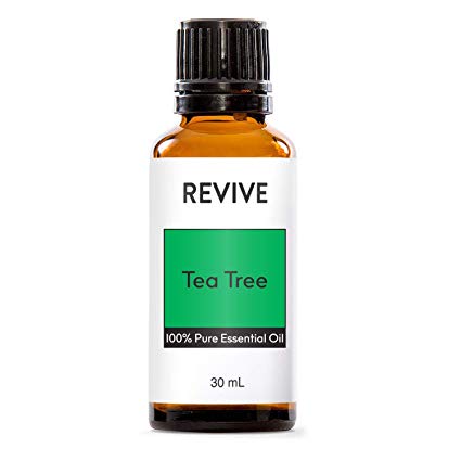 REVIVE Essential Oils Set For Diffuser, Humidifier, Massage, Aromatherapy, Skin & Hair Care - Tea Tree - 30 mL / 1 Ounce