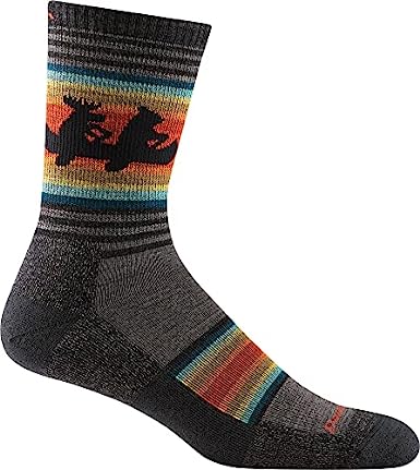 Darn Tough Willoughby Micro Crew Lightweight Sock with Cushion - Men's