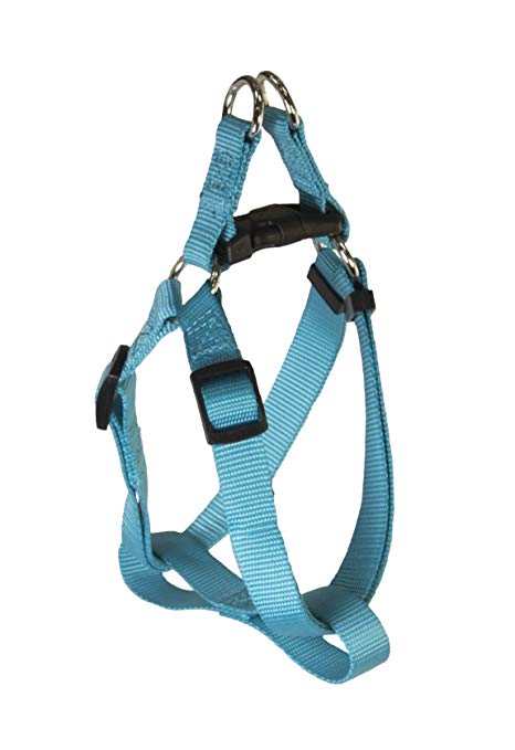 Pet Champion Adjustable No-Pull Harness, Collar, Leash Matching Bundle Small, Medium, Large Dog