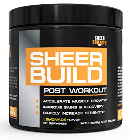 Extra Strength Post Workout Muscle Builder for Men and Women - BCAAs   Creatine   Glutamine   L-Carnitine - Supports Rapid Lean Muscle Growth & Recovery - 30 Servings - Sheer Strength Labs