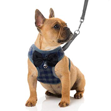 RYPET Small Dog Harness and Leash Set - No Pull Pet Harness with Soft Mesh Nylon Vest for Small Dogs and Cats