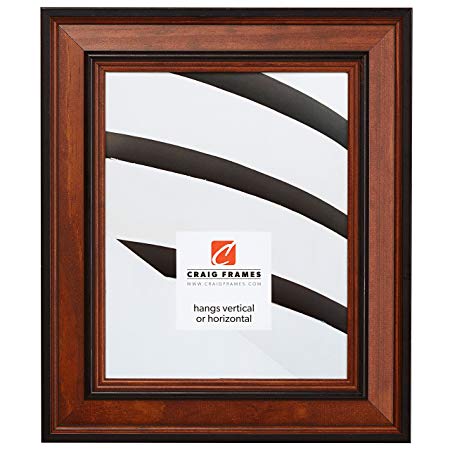 Craig Frames 80827011 24 by 36-Inch Picture Frame, Wood Grain Finish, 2-Inch Wide, Brown