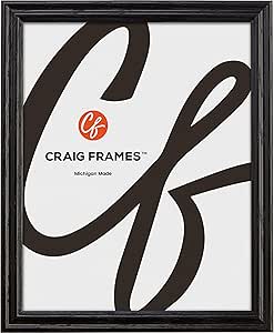 Craig Frames Wiltshire 200, 25x33 Poster Frame, Elegant Thin Wood with Durable Plexiglass, Display Vertical or Horizontal, Black