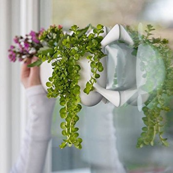 Livi Palm Pot - White - Indoor Suctioned Window/Wall Planter for Plants and Herbs …