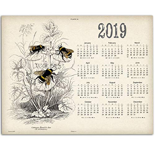2019 Calendar - Vintage Bumblebees - 11x14 Unframed Calendar Art Print - Great Gift for Beekeepers and Nature Lovers