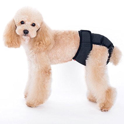 Alfie Pet by Petoga Couture - Max Diaper Dog Sanitary Pantie with Velcro Closure (for Girl Dogs)