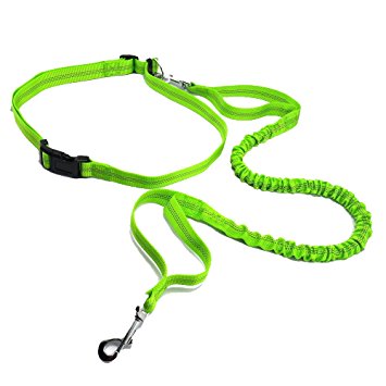 Hands Free Dog Leash with Waist Belt for Running, Retractable Bungee Leash for 30lbs to 150lbs Dogs