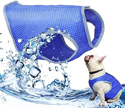 Cooling Vest for Dogs,Dog Cooling Vest,Dog Cooling Jacket,Dog Cooling Coat,Pet Cooling Vest,Cooling Jacket for Dogs,Dog Ice-cooling Harness Coats,Pet Cooler Vest with Magic Tape for Puppies Dogs (M)