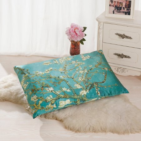 Luxurious Silk Pillowcase for Hair & Facial Beauty Queen Standard Size, Room Decor Pillow Case with Custom Painting