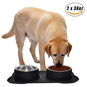 Easeurlife Stainless Steel Dog Bowl Medium No Spill/Non-Skid Silicone Mat Double Pet Bowls Set for Medium Dogs, Black