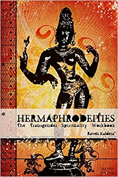 Hermaphrodeities: The Transgender Spirituality Workbook