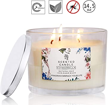 YUCH Citronella Candle Outdoor Indoor Aromatherapy Stress Relief Pure Soy Wax 3-Wick Scented Candles 60-70 Hour Burn Highly Scented Long Lasting (14.5 Ounce, Glass)