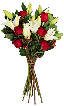 Benchmark Bouquets Red Elegance, No Vase (Fresh Cut Flowers)