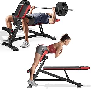 FLYBIRD 3 in 1 Workout Bench, Roman Chair, Weight Bench and Sit Up Bench for Hyper Back Extension and Full Body Workout with Handle, Abdomen core and Comprehensive Glute Training, Easy Moving wilth Wheels Home Gym Equipment