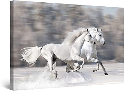 Startonight Canvas Wall Art - Horses Running Fast, Horses Framed 32 x 48 Inches