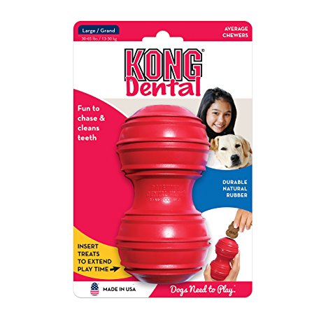 KONG Dental Dog Toy