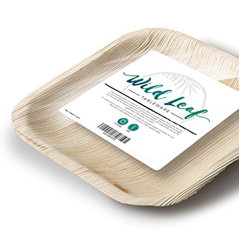 All Natural Palm Leaf Plates, 25 Pack / 6 Inch. Elegant and Eco Friendly Disposable Dessert Plates by Wild Leaf