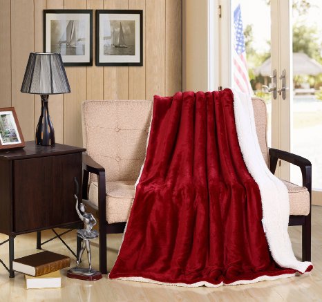 Bedsure Sherpa Blanket Throw Blankets Bed Blankets, Soft Cozy and Warm(Reversible/Textured/Fuzzy), 50" x 60" Burgundy Red