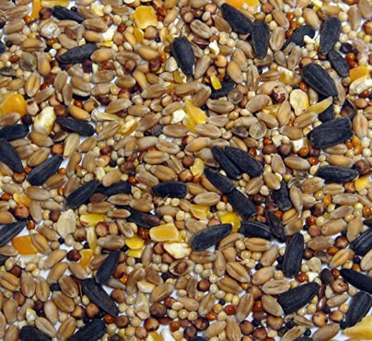 Riverside Quality Deluxe Aniseed Wild Bird Seed 20kg