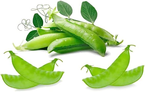 Snow Pea Seeds for Planting Vegetables and Fruits.Non GMO Heirloom Seeds for Planting Home Garden Aerogarden.for Snow Pea Snap Pea Pods,Pea Shoots-15g Dwarf Grey Sugar Pea,85ct