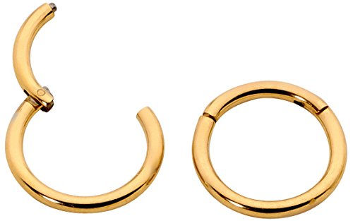 365 Sleepers 1 Pair Stainless Steel 5/16" (8mm) 18G (Thin) Hinged Continuous Segment Ring Hoop Sleeper Earrings Body Piercing