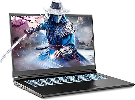 Sager 2024 Gaming Laptop NP7882E, 17.3 Inch FHD 144Hz 72% NTSC, Intel i9-14900HX, RTX 4070 8GB, 64GB RAM, 2x4TB (8TB) Gen4 NVMe SSD, TBT 4, Win 11