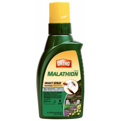 Ortho MAX Malathion Concentrate Insect Spray, 32-Ounce