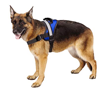 EXPAWLORER Big Dog Soft Reflective No Pull Harness