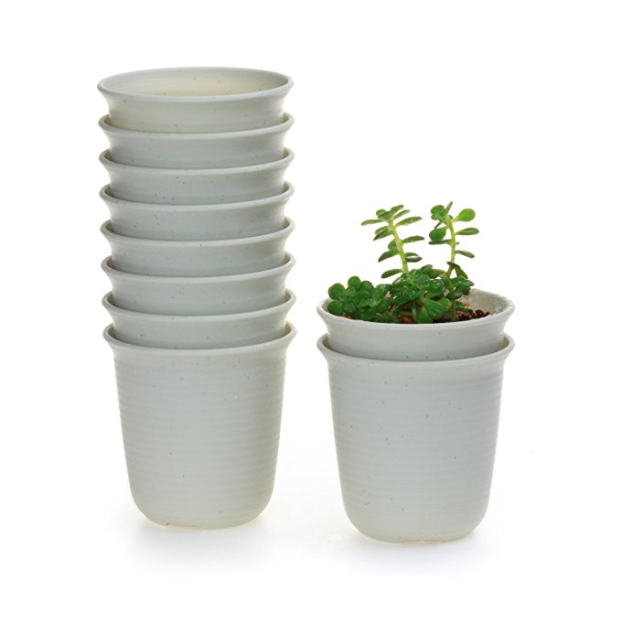 T4U 2.5 Inch Plastic Round succulent Plant Pot/Cactus Plant Pot Flower Pot/Container/Planter Package 1 Pack of 10