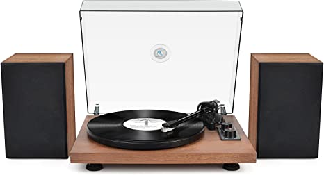 Vinyl Record Player with Bookshelf Speakers HiFi System Wireless Turntable with USB Digital Output Speed Adjust Counter Weight LP Player with Magnetic Cartridge