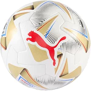 Puma Cumbre CONMEBOL Copa America FIFA Match Ball - Official Match Ball for High-Level Soccer Games, Size 5 (PUMA White-PUMA Gold)