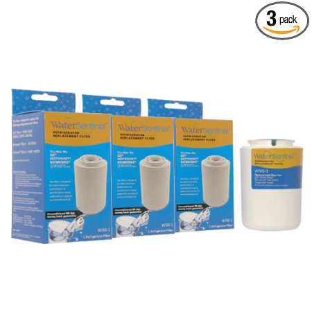 Water Sentinel WSG-1 Replacement Filter 3-Pack