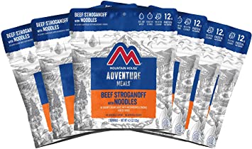 Mountain House Beef Stroganoff with Noodles | Freeze Dried Backpacking & Camping Food