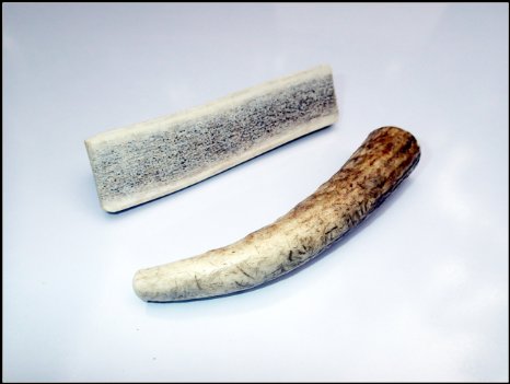 JimHodgesDogTraining Brand - Small Combo Elk Antler Dog Chews for Small Dogs - One Whole   One Split Small Elk Antler Combo 2-Pack (3.5 - 7 inches long) - Grade A Premium Quality - These Antler Chews are sized for smaller mouths; but still longer than our competitors in the same size market (5-25 lbs).
