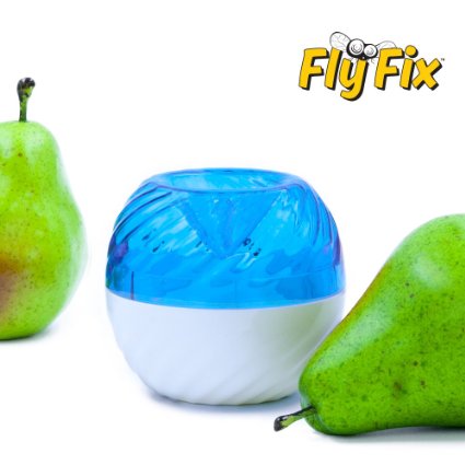 FlyFix Fruit Fly Trap Reusable 1 BlueWhite