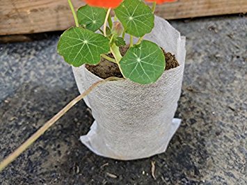 247Garden 100pcs 0.05 Gallon Eco-Friendly Aeration Fabric Pots/Nursery Seedling Plant Grow Bags 9x12cm (3x4.7in)