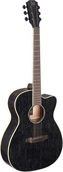 James Neligan 6 String Acoustic-Electric Guitar (YAK-ACFI)
