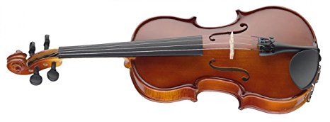 Stagg VN-4/4-Size EF 4/4-Size Solid Spruce Top Maple Violin with Ebony Fingerboard & Shaped Soft Case - Natural