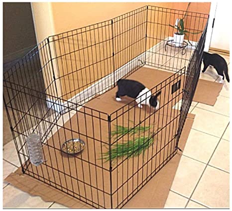 Bunny Rabbit Pen Exercise Indoor 39-Inch with Door House Pet Dog 8 Panel Gate Yard Enclosure X Pen Xpen Fence Playpen & eBook by OISTRIA