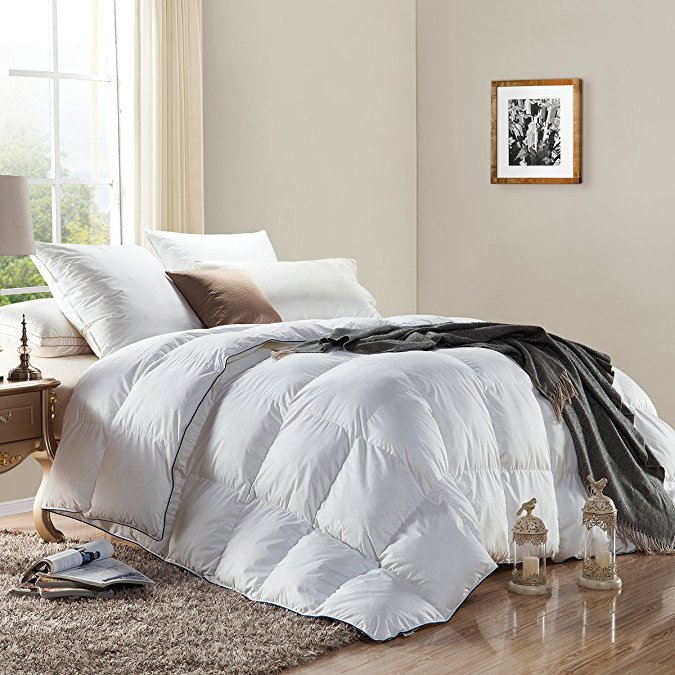 WENERSI Premium Down Comforter Twin Size,Duvet Insert 600TC - 100% Cotton Cover with ULTRA FRESH Treatment, 700+ Fill Power,White Solid
