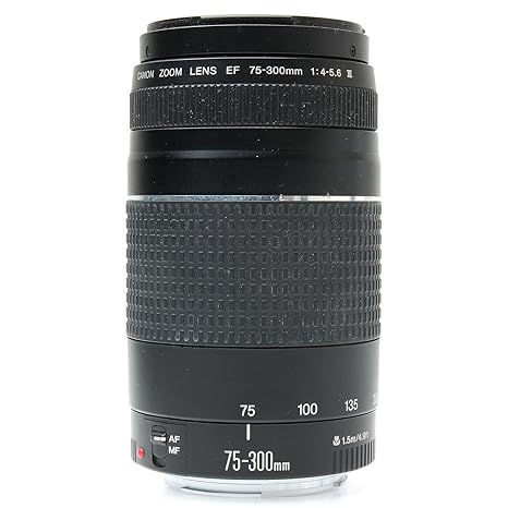 Canon EF 75-300mm f/4-5.6 III Telephoto Zoom Lens for SLR Cameras (Black)